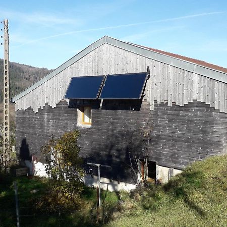 Maison Chaleureuse Et Ecologique Villa Coyriere Екстериор снимка